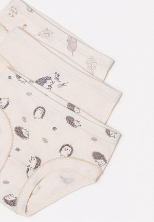 Трусы для девочки Crockid К 1904-3 сливки, листопад, ежики (лесный ежики)