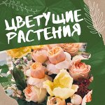 Декоративноцветущие растения