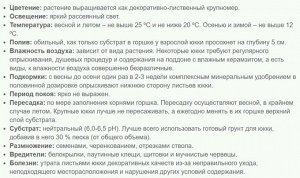 Юкка 1 ст Диаметр 19
Высота 75

Юкка разветвленная – декоративная форма юкки слоновой, над созданием которой потрудились цветоводы. У основания она имеет мощный ствол, разветвляющийся на несколько мен