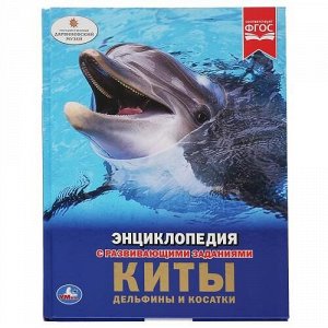 Книжка Энциклопедия А4 Киты, Дельфины и Косатки 26*20 см