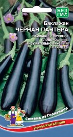 Баклажан Черная Пантера (УД) чрезвычайно урожайный,цилиндрический,крупноплодный,устойчив к заболева