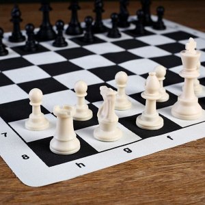 Шахматы в пакете, фигуры (пешка h=4.5 см, ферзь h=7.5 см), поле 50 х 50 см