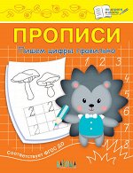 Чиркова С.В. ПДШ  Прописи Пишем цифры правильно