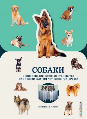 Конн А. Собаки