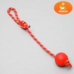 Игрушка несгрызаемая &quot;Шарик на веревке&quot;, 5,5 см, каучук