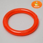Игрушка несгрызыемая &quot;Кольцо&quot; большое, 14 см, каучук