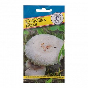 Мицелий грибов Волнушка "Престиж семена", белая, 60 мл
