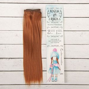 Школа талантов Волосы - тресс для кукол «Прямые» длина волос: 25 см, ширина:100 см, цвет № 30