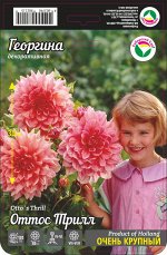 Георгина Оттос Трилл 1шт (Сиб сад)