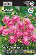 Георгина Парк Принцесс 1шт (Сиб сад)