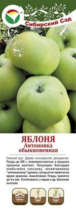 Яблоня Антоновка обыкновен (крупн/саж с этик) 1шт (Сиб сад)