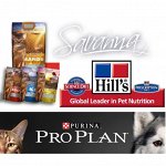 Hill&#039;s, PURINA - 141