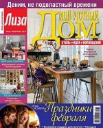 ПИ МОЙ УЮТНЫЙ ДОМ 2/17