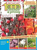 Журнал 1000 советов дачнику 22/19