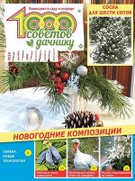 Журнал 1000 советов дачнику 24/19