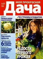 Журнал МОЯ ПРЕКРАСНАЯ ДАЧА 16/18