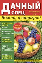 Журнал ДАЧНЫЙ СПЕЦ № 10/19 Яблоня и виноград