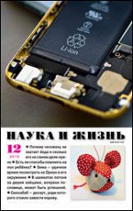 Журнал НАУКА И ЖИЗНЬ 12/19