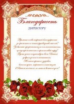 Благодарность Директору