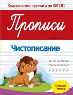 Прописи:чистописание:старшая группа дп