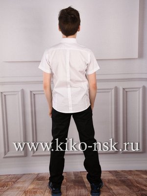 1565 Рубашка для мальчика с коротким рукавом