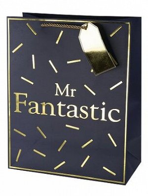Бумажный пакет с золотым тиснением Mr.Fantastic