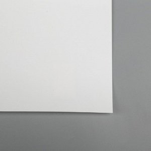 Фотофон PVC однотонный "Белый" 70х140 см