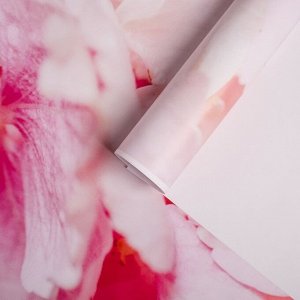 Фотообои "Цветы гортензии", 200х140 см, 130 г/м