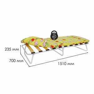 Кровать раскладная (раскладушка) КРЛ 215