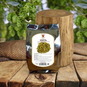 Хмель обыкновенный Humulus lupulus, шишки