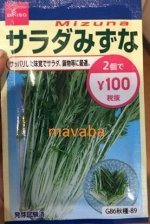 капуста САЛАД МИЗУНА