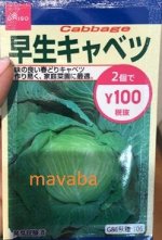 Капуста белокочанная