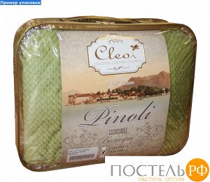 Плед Cleo "PINOLI" велсофт полуторный 150*200 150/016-PN