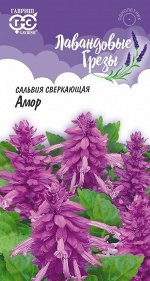 Сальвия Лавандовая Амор*  5 шт. серия Лавандовые грёзы