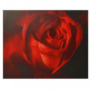 Холст "Роза" 40х50 см