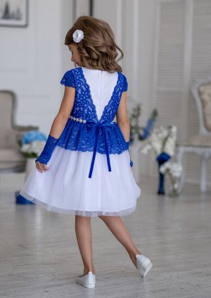 Тифани нарядное платье синий