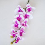Орхидея Фаленопсис (9 цветков).Искусственный цветок.