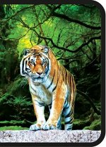 Папка для тетрадей А4 на молнии вокруг 32,5х23х2,5 см ПМ-А4-04 &quot;WILD TIGER&quot; Пчелка