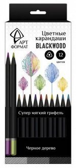 Карандаши 12цв трехгранные Blackwood супермягкие черное дерево AF03-051-12 ARTформат {Китай}