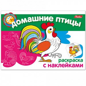 Книжка-раскраска А5, 4 л., HATBER с наклейками, Мои первые уроки, "Домашние птицы", 4Р5н 05825, R002699