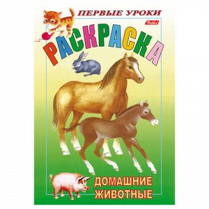 Книжка-раскраска А5, 8 л., HATBER, Первые уроки, "Домашние животные", 8Рц5 03060, R002101