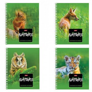 Тетрадь А5, 48 л., HATBER, гребень, клетка, обложка картон, "WILD NATURE" (4 вида), 48Т5В1гр, T243190