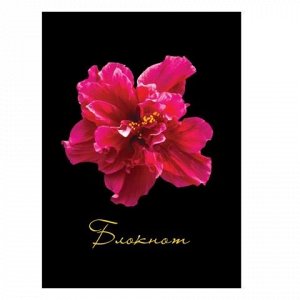 Блокнот МАЛЫЙ ФОРМАТ (110х147 мм) А6, 80 л., твердый переплет, ламинированная обложка, клетка, STAFF, "Красный цветок на черном"