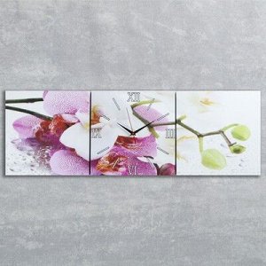 Часы настенные, серия: Цветы, модульные Орхидеи, 35х110 см, микс