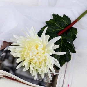 Цветы искусственные "Астра пионовидная" 17*63 см, белый