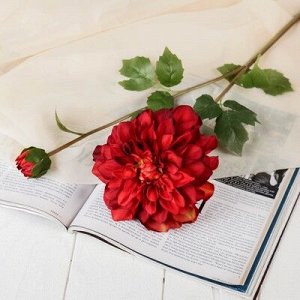 Цветы искусственные "Георгин Эвелин" 14*68 см, бордовый