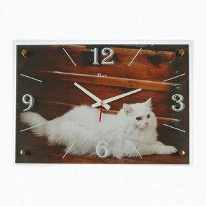 Часы настенные, серия: Животный мир, "Белая кошка", 40х56 см