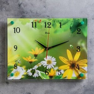 Часы настенные, серия: Цветы, "Ромашки", 30х40 см