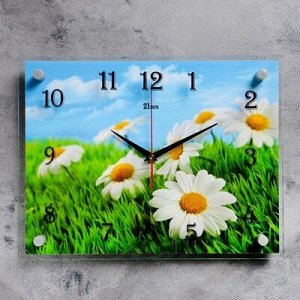 Часы настенные, серия: Цветы, "Ромашки" 30х40 см, микс