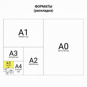 Тетрадь 12 л. ЮНЛАНДИЯ клетка, обложка картон, "АВТО-КЛАСС",